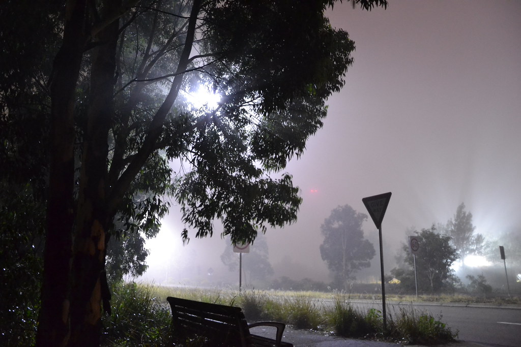 Road signs and street lights in heavy fog for driving visibility